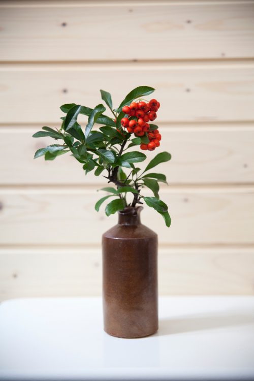 Eine braune Vase in Flaschenform vor einer hellen Holzwand. In der Vase steht ein Ast mit grünen Blättern und roten Beeren.